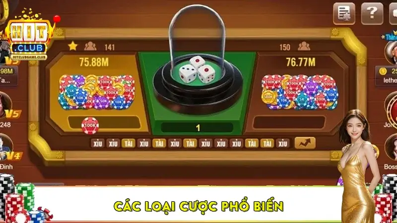 Các loại cược phổ biến Các loại cược phổ biến