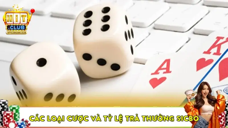 Các loại cược và tỷ lệ trả thưởng Sicbo Các loại cược và tỷ lệ trả thưởng Sicbo